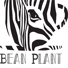 Bean Plant